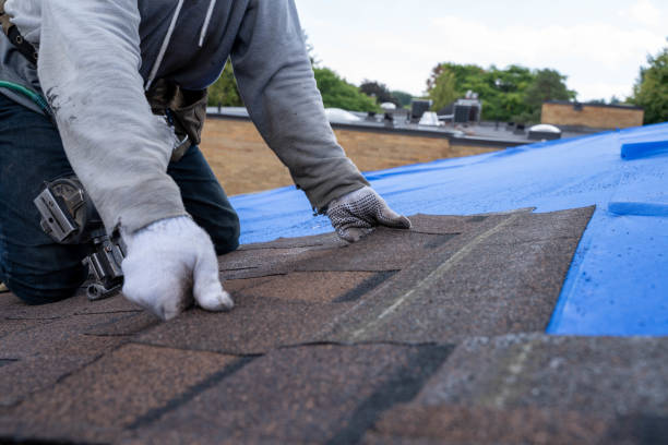 Residential Roof Replacement in Leipsic, OH