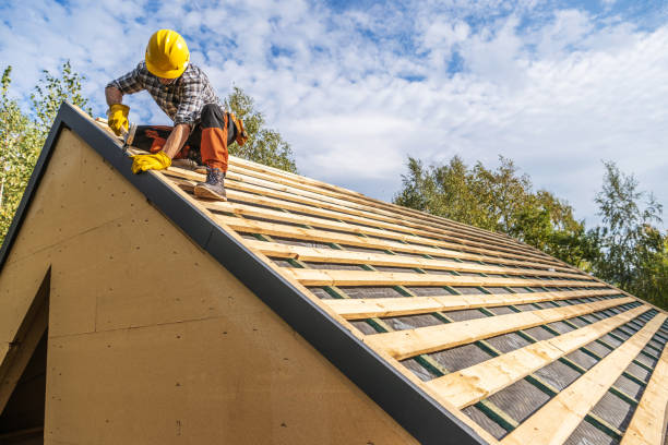 Best Roof Leak Repair  in Leipsic, OH