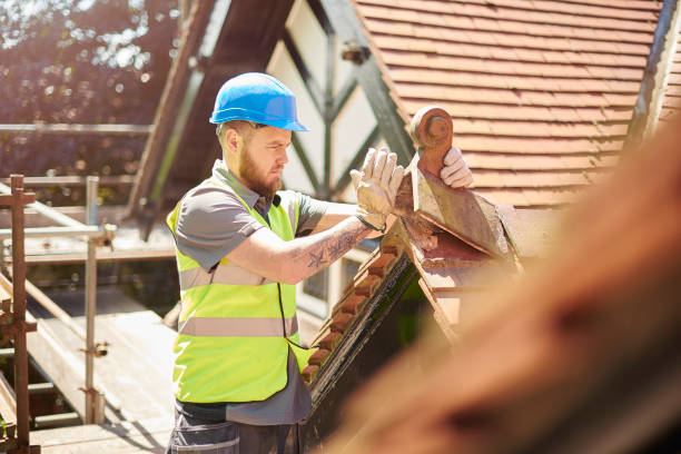 Best Roof Gutter Cleaning  in Leipsic, OH