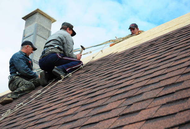 Best Metal Roofing Contractor  in Leipsic, OH