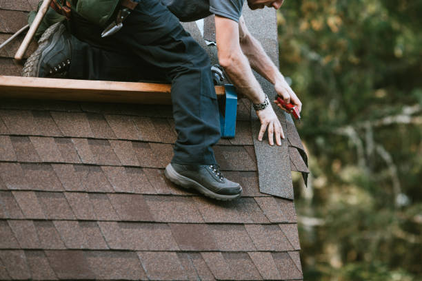 Best Roof Gutter Cleaning  in Leipsic, OH