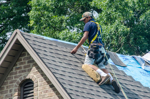 Best Residential Roof Replacement  in Leipsic, OH
